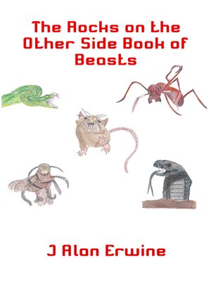 cover image of The Rocks on the Other Side Book of Beasts